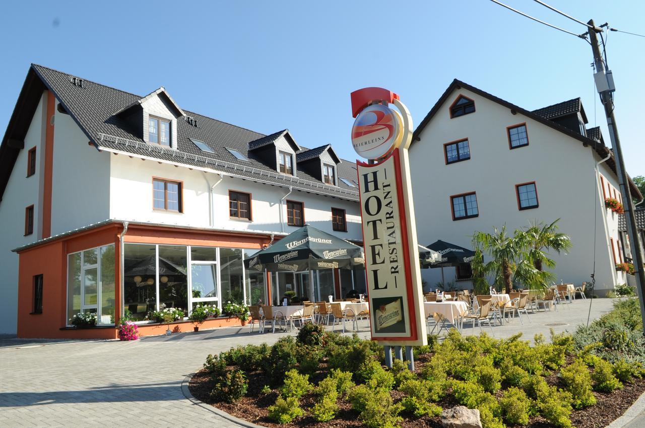 Beierleins Hotel & Catering Gmbh Reichenbach  Экстерьер фото